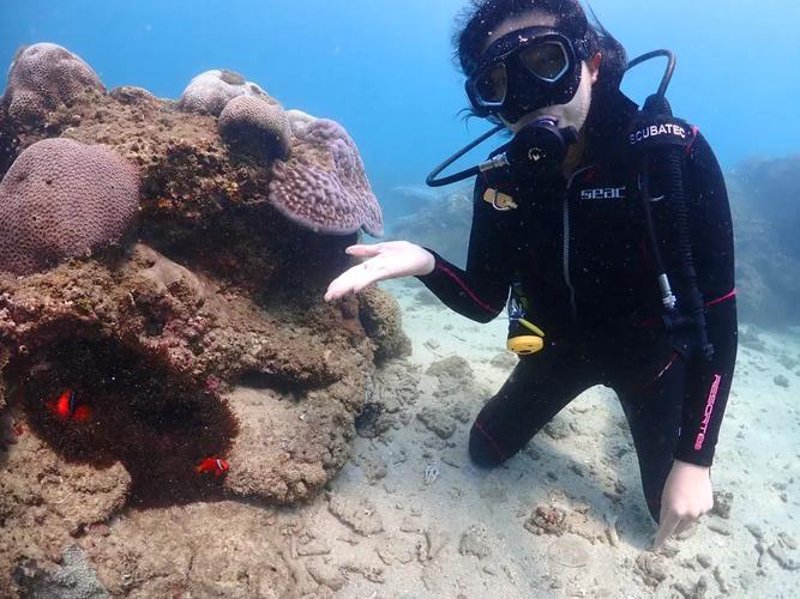 北京潜水培训指南：开启探索海底世界的旅程